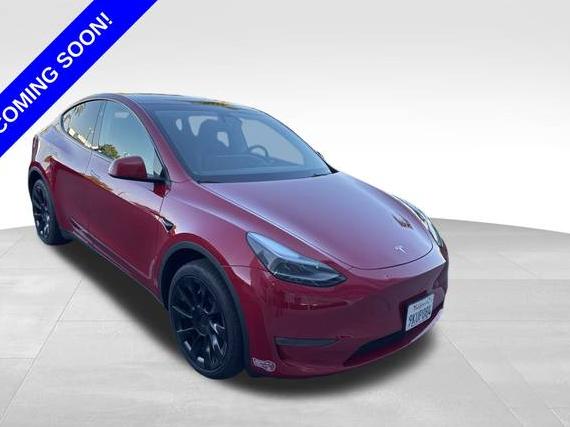 TESLA MODEL Y 2024 7SAYGDEEXRA216429 image